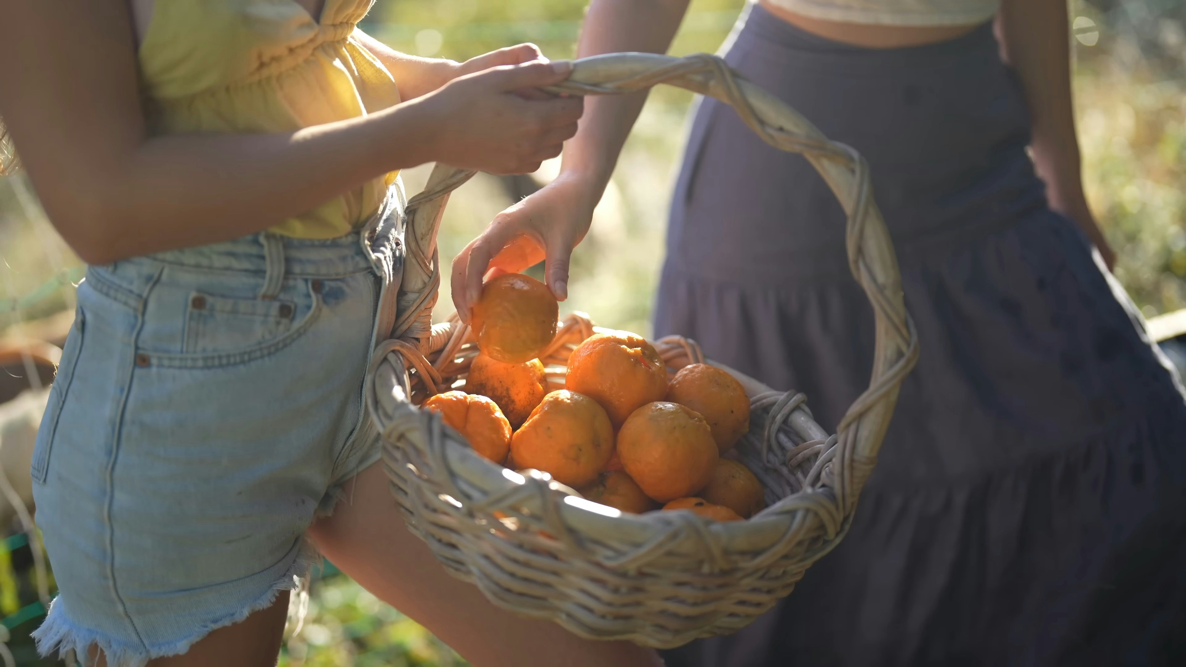 Portocala, fructul preferat în ProMetabolism