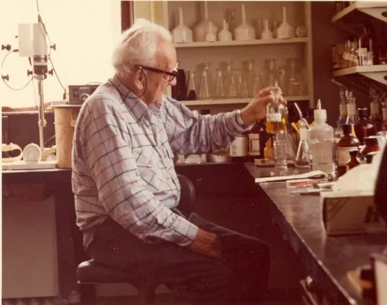 Metabolism ridicat = sănătate și longevitate?