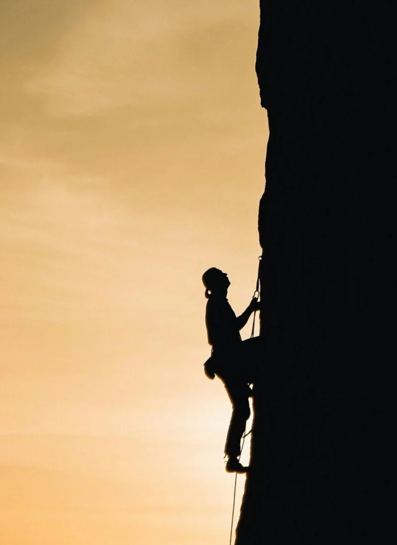 Fără compromisuri ProMetabolism