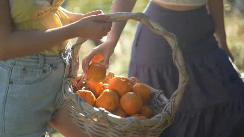 Portocala, fructul preferat în ProMetabolism